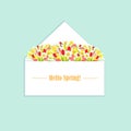 Hello spring banner. Envelope with spring flower background. Tulips daffodils lilies of the valley grey art design Royalty Free Stock Photo